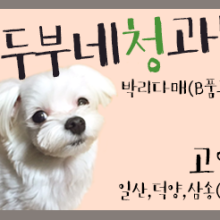 태화청과 이미지