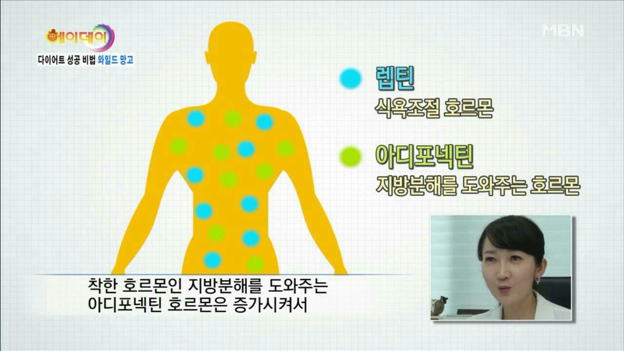 네오뷰 이미지