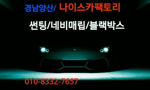 나이스카 이미지