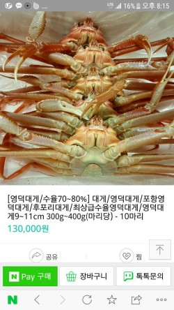 영덕대게 이미지
