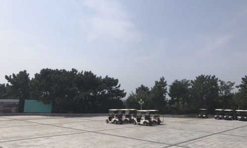 따봉여행사 이미지