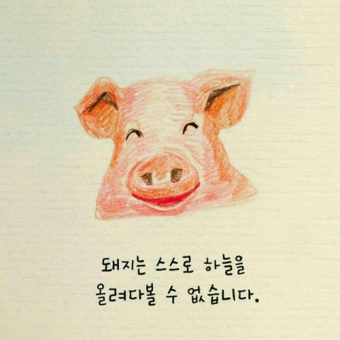 하늘 댄스스포츠 이미지