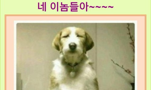 알이랑 건강 이미지