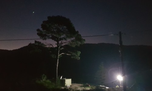 노란담장 이미지