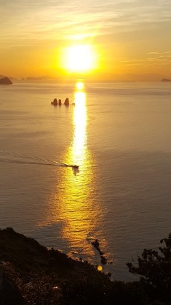 매물도펜션 이미지