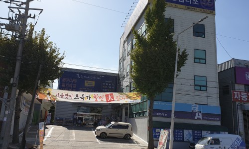 몽랑 이미지