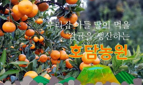 제주호담농원 이미지