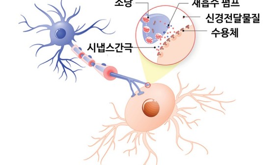 알이랑 건강 이미지
