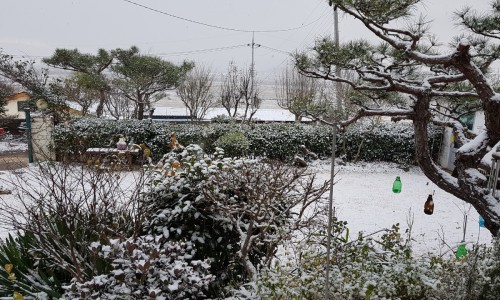 성인당 이미지