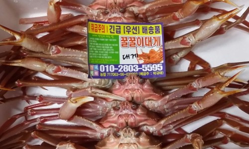 대게맛나게 이미지