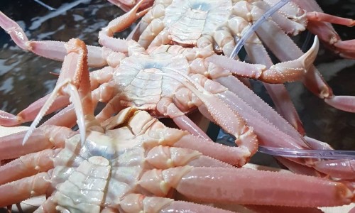 동우수산 이미지