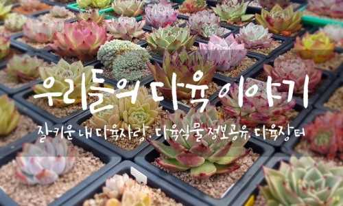 다육이야기 이미지
