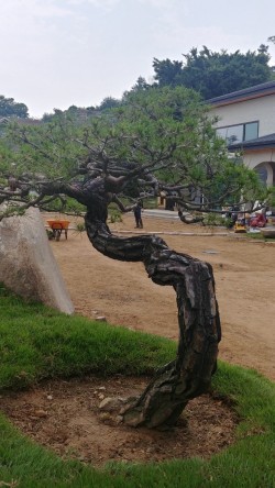 태경조경 이미지