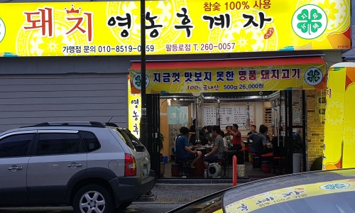 돼지영농후계자 이미지