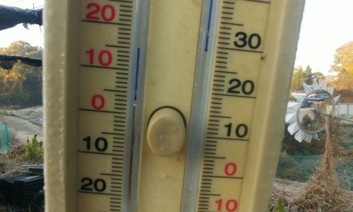 세종약초원 이미지
