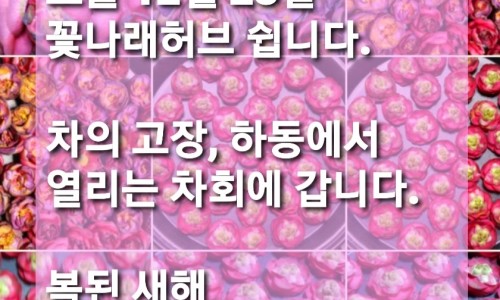 꽃나래허브 이미지
