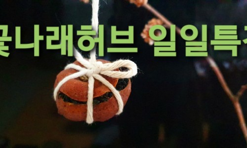 꽃나래허브 이미지