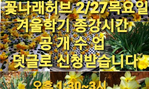 꽃나래허브 이미지