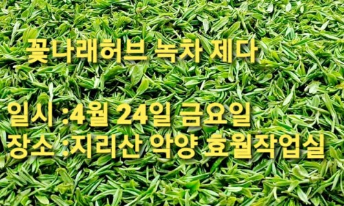 꽃나래허브 이미지