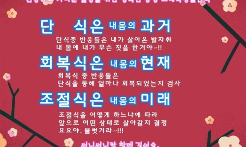 오혜숙생활단식채비지사 이미지