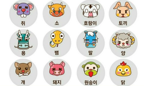 한국요양신문사 이미지