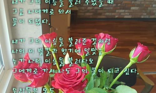 꽃사랑꽃구름 이미지