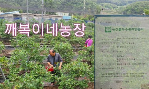 복이네푸드 이미지