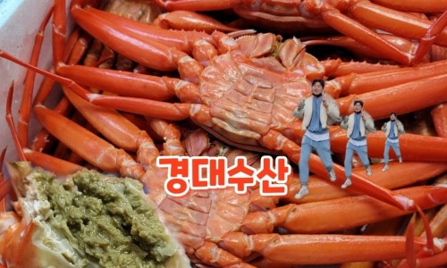 경대수산 이미지