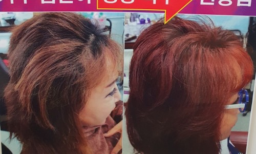 큐사랑강남 이미지