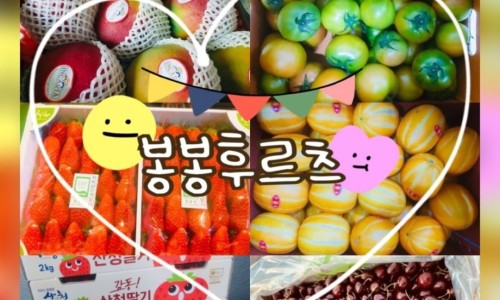 후르츠봉봉 이미지