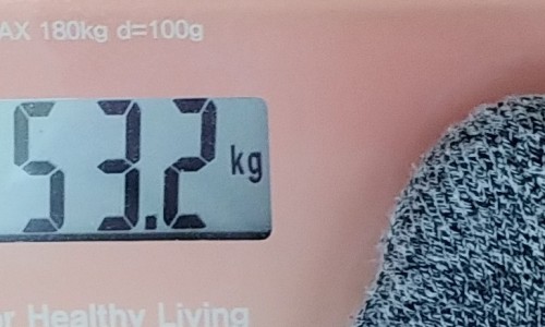 오혜숙생활단식채비지사 이미지