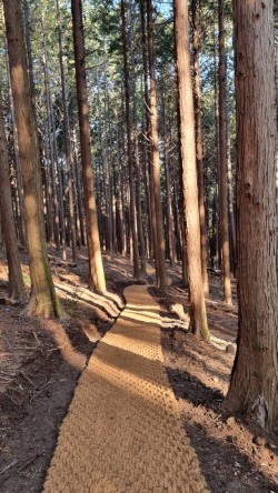 국립지리산자연휴양림 이미지