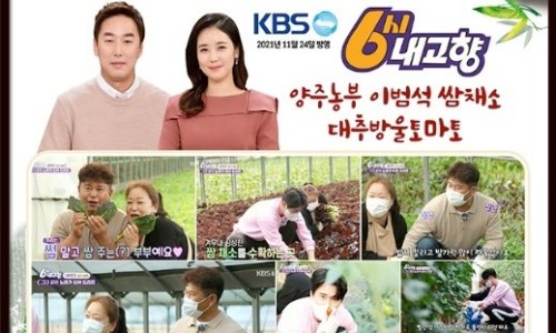 샐러드박스양주 이미지