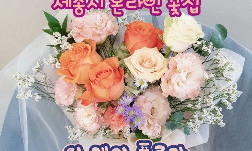 케이플로라 이미지