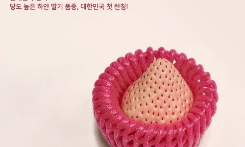 퍼밋랜드 이미지