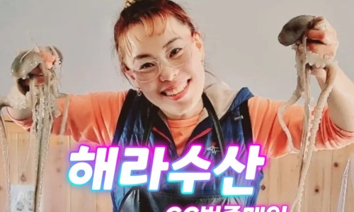 ６６번중매인 이미지