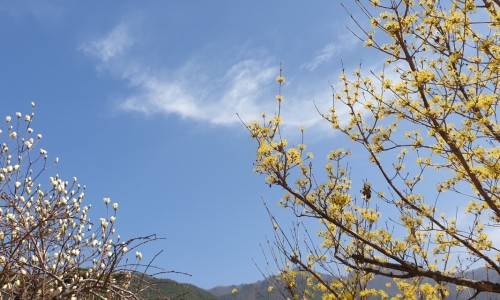 승일상회 이미지