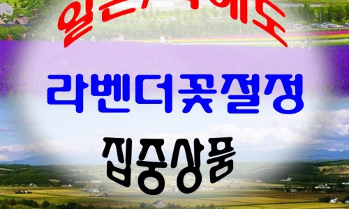(주)라벤더투어 이미지