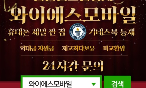와이에스정보 이미지