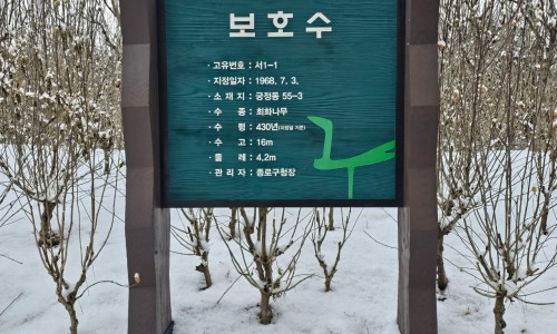 서울동산중기 이미지