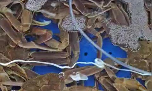 100번수산 이미지