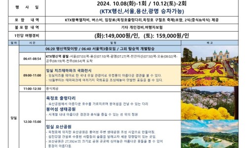 구절초 꽃축제 투어기차 이미지