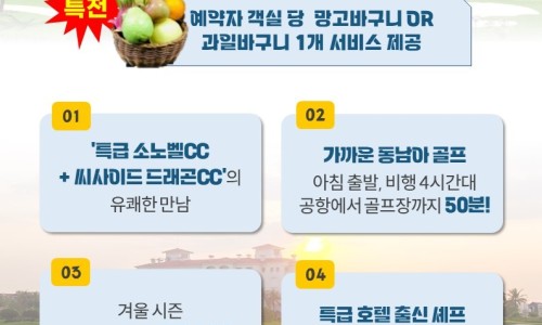 노블버디골프 이미지