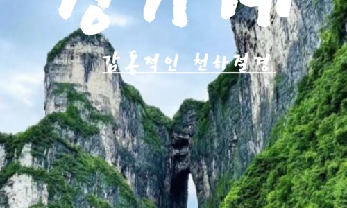 백세투어 이미지