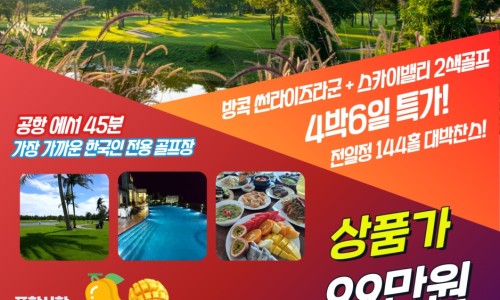 노블버디골프 이미지