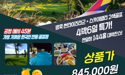 노블버디골프 이미지