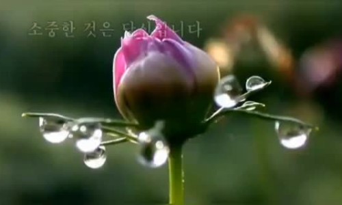 행복한시간을나누는사람들 이미지