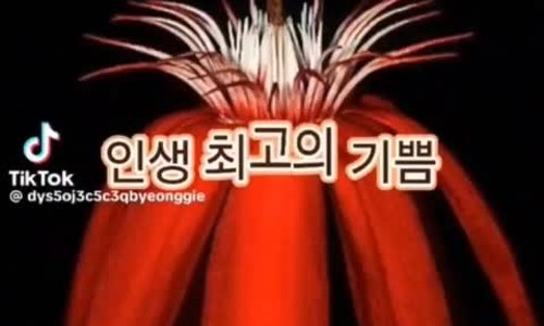 행복한시간을나누는사람들 이미지
