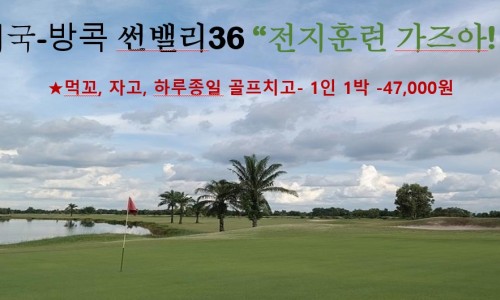 노블버디골프 이미지