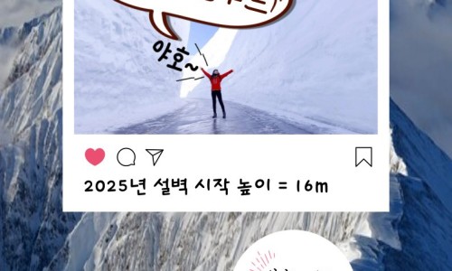 (주)썬투어 이미지